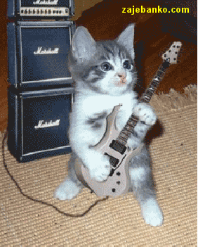 smiješna animacija: mačka svira gitaru