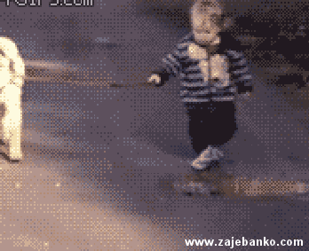 gif animacija: dijete šeće psa i gazi lokvu vode
