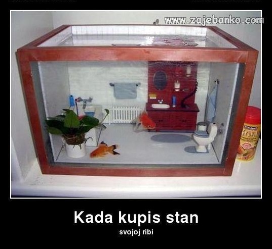 Zanimljivi predmeti: Akvarij za ribice u obliku stana