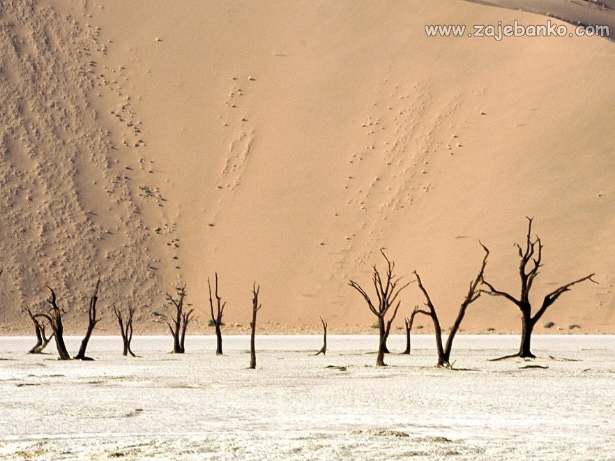Najveće pustinje - fotografije