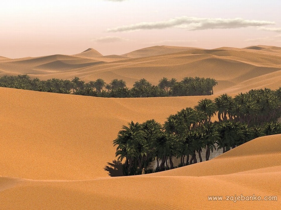 Pustinje - nepregledno more pijeska i pješčanih dina