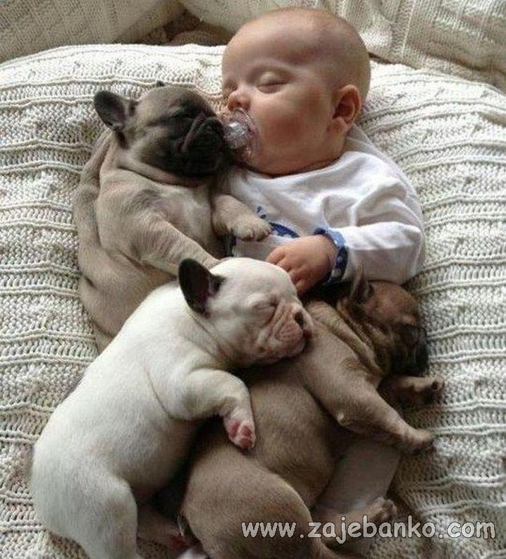 Usnula beba i slatki mali štenci