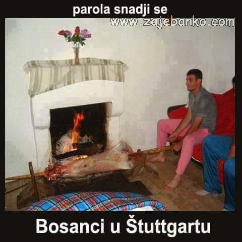 bosanci u stuttgartu smiješna slika
