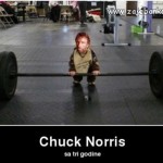 Chuck Norris vicevi