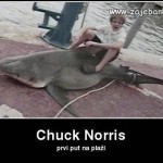 Chuck Norris vicevi