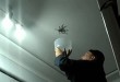 Video: strah od pauka