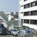 Google Street View Slike