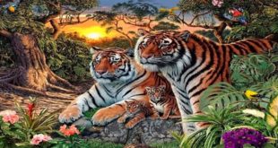 Mozgalica - možete li pronaći sve tigrove